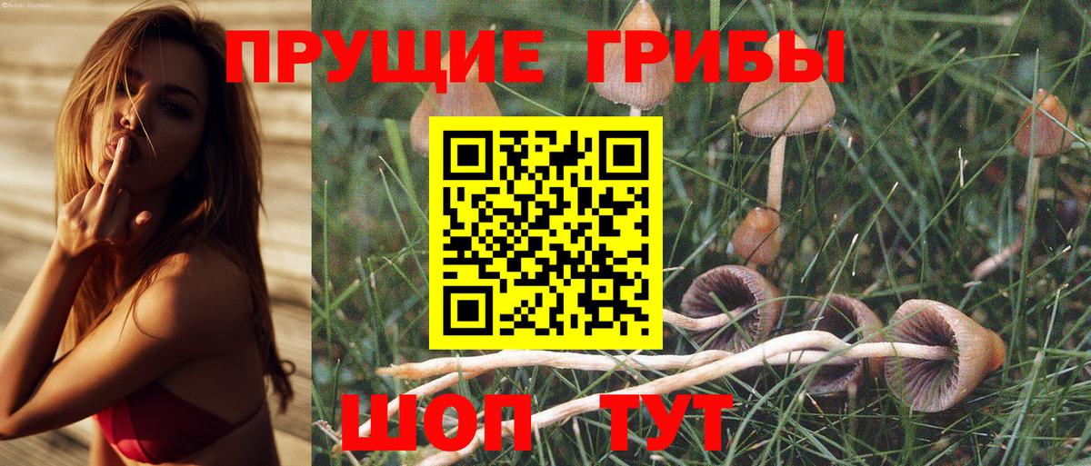 Нижнеудинск  Псилоцибиновые грибы MAGIC MUSHROOMS  купить закладку  Вход с VPN 